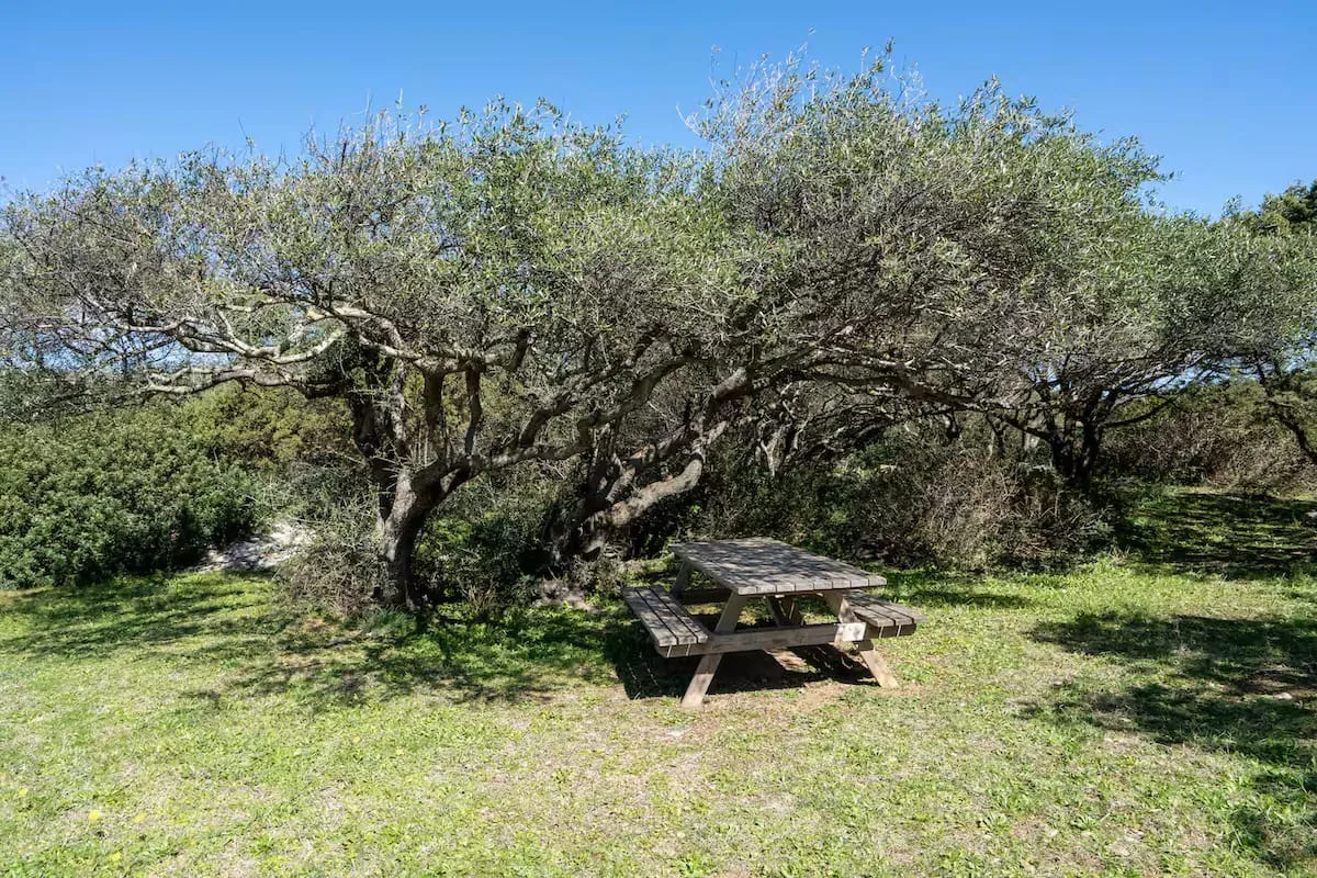 [Porto Rotondo]Villetta con Accesso sul Mare foto 16
