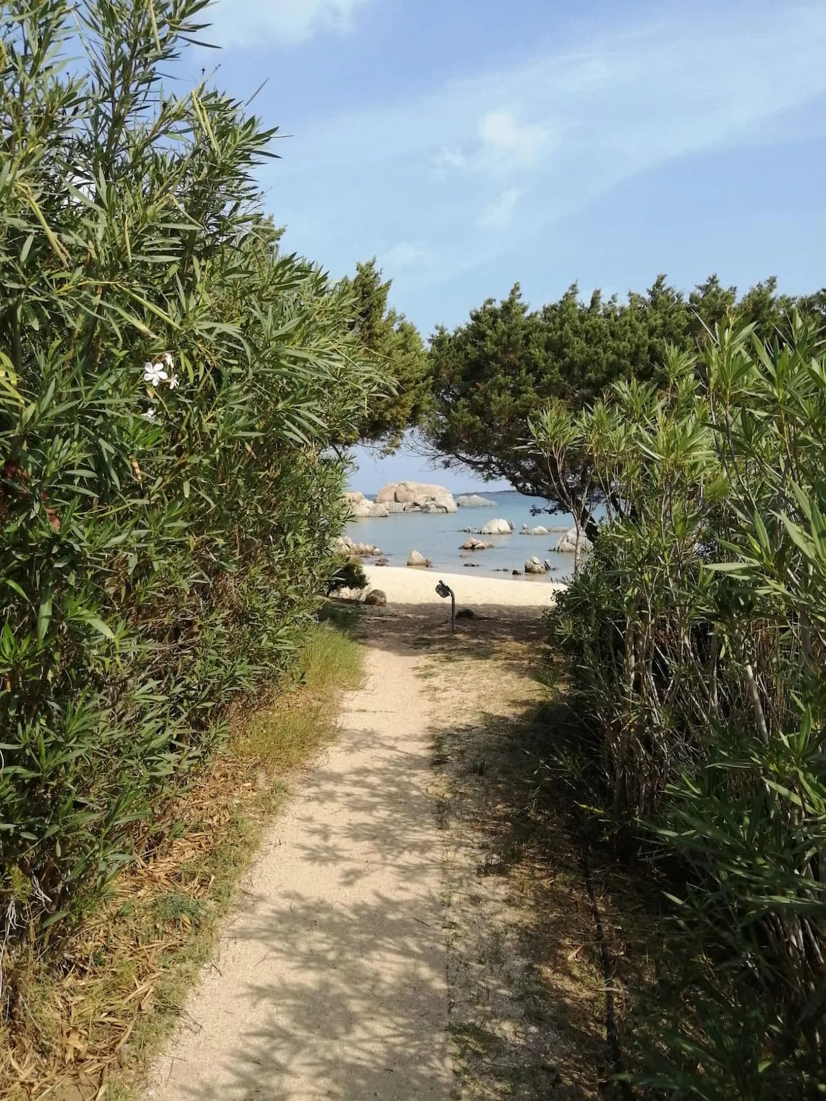 Meraviglioso Appartamento sulla Spiaggia foto 16