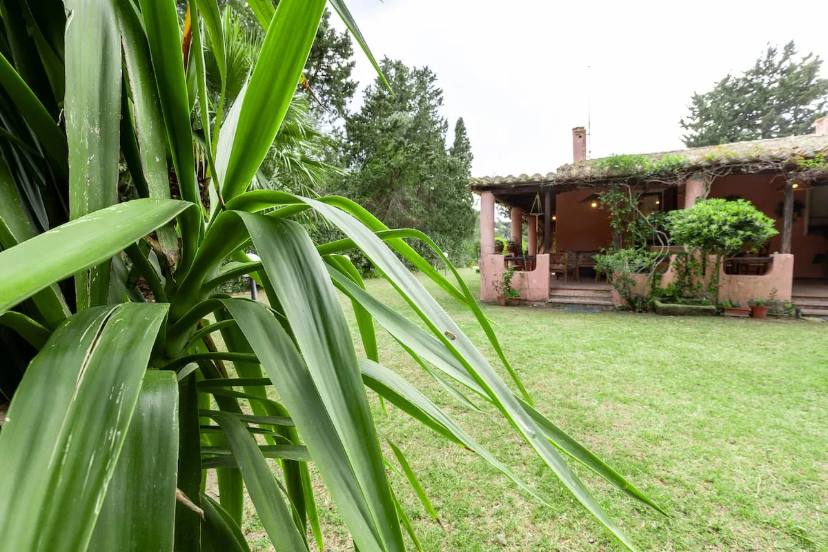 Villa con Giardino a pochi passi dalla Spiaggia foto 15