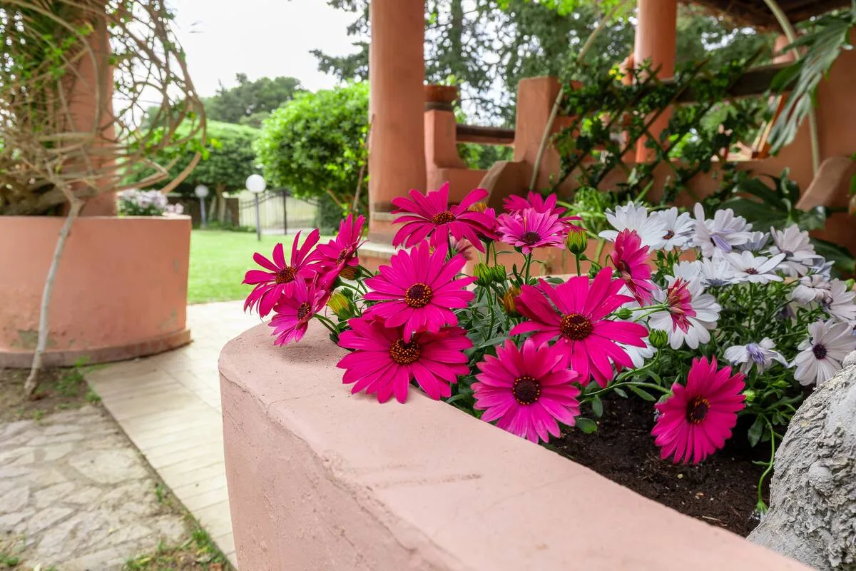 Villa con Giardino a pochi passi dalla Spiaggia foto 16