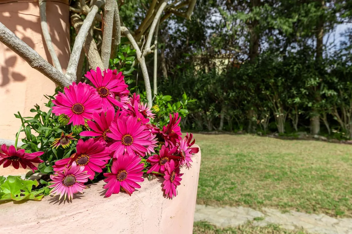Villa con Giardino a pochi passi dalla Spiaggia foto 26