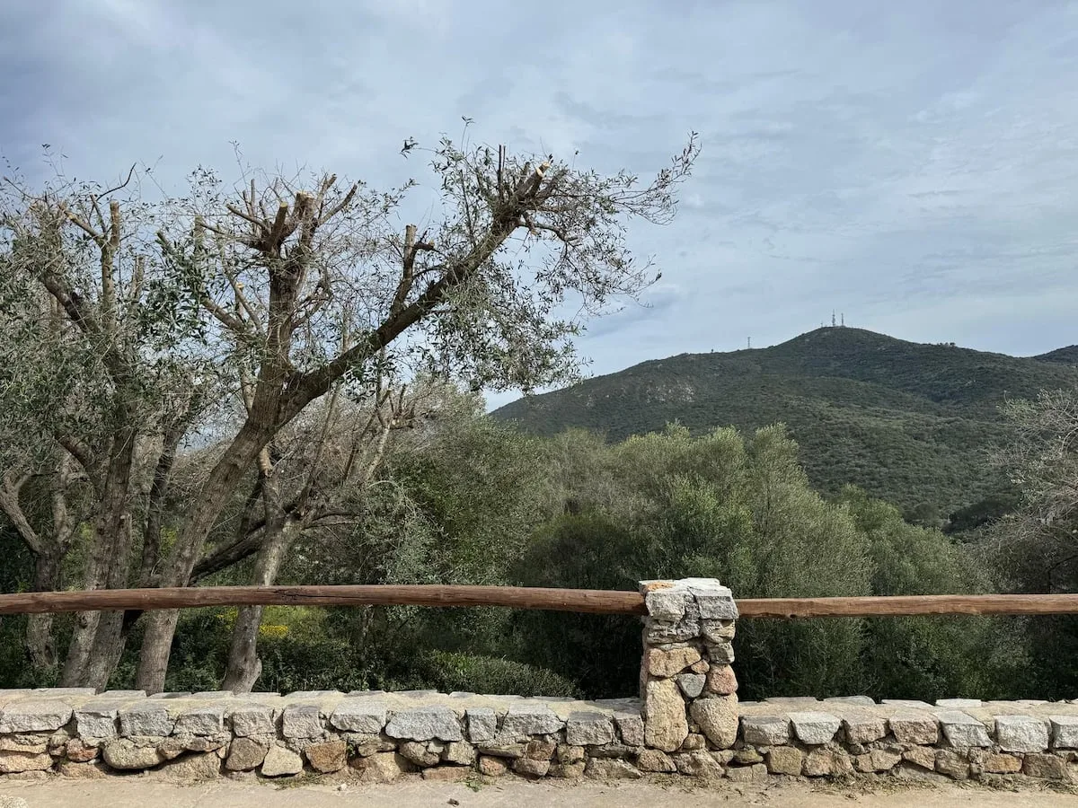 [Piscina-Costa Smeralda] Loft immerso nella Natura foto 10